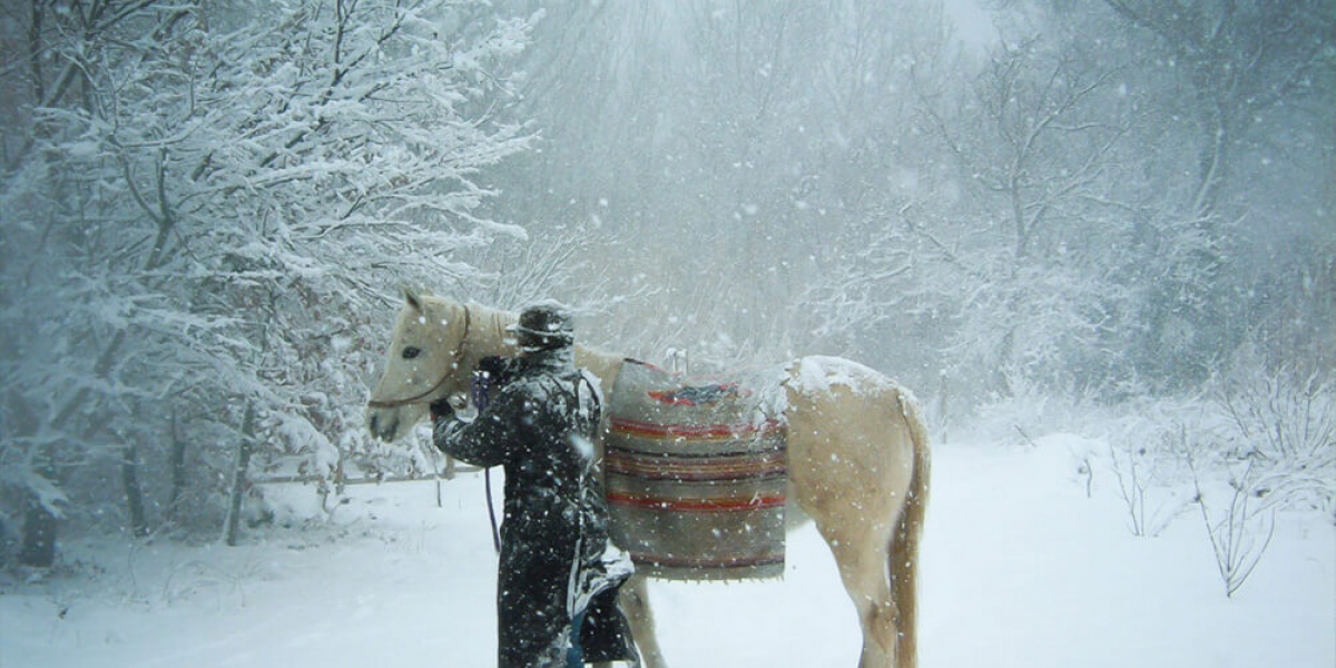 Bien s’occuper de son vieux cheval en hiver
