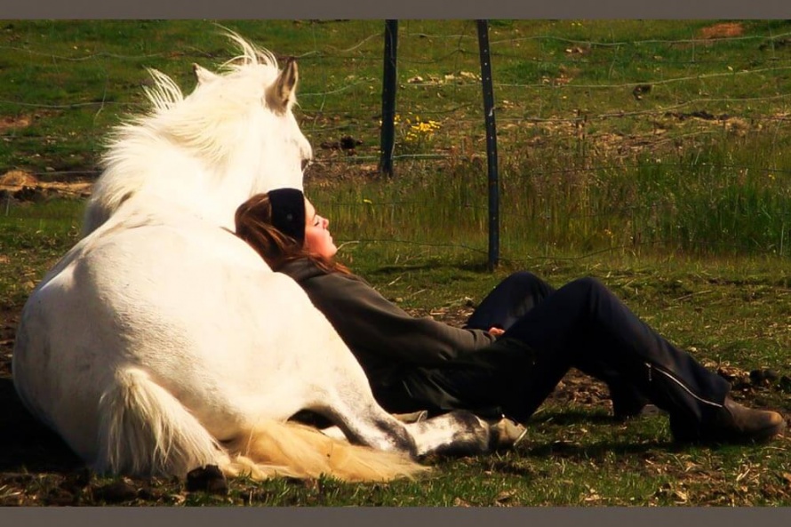 Un cheval bien dans sa tête doit être confiant en toutes circonstances @Blog Cheval d'Aventure
