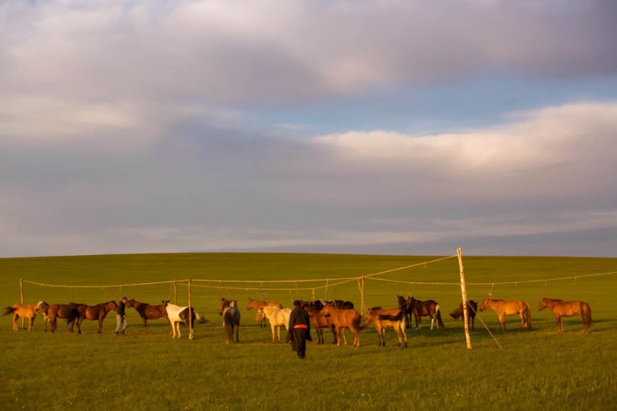 La Mongolie, terre de traditions équestres ancestrales @Blog Cheval d'Aventure