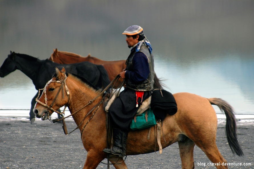 Gaucho au travail avec les chevaux @Blog Cheval d'Aventure