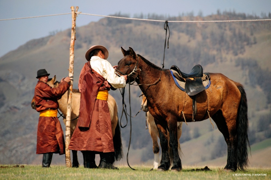Peuple nomade de Mongolie et leurs chevaux @Blog Cheval d'Aventure