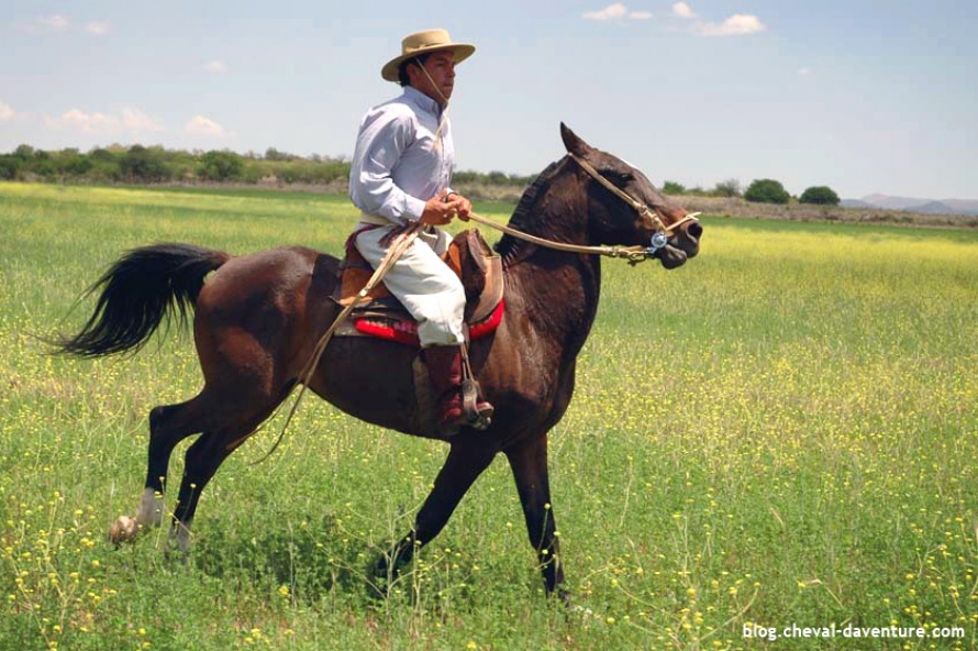 Gaucho et son cheval Criollo en Argentine @Blog Cheval d'Aventure