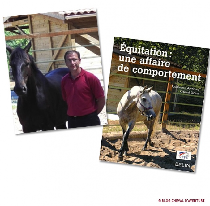Equitation : une affaire de comportement @Blog Cheval d'Aventure