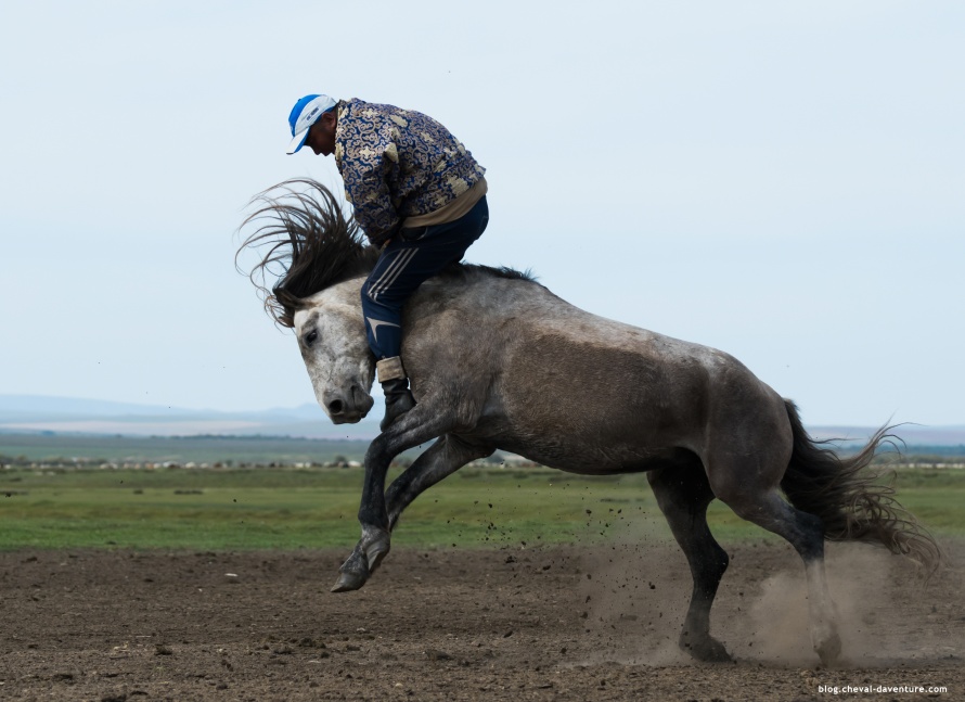 Acrobatie à cheval @Blog Cheval d'Aventure