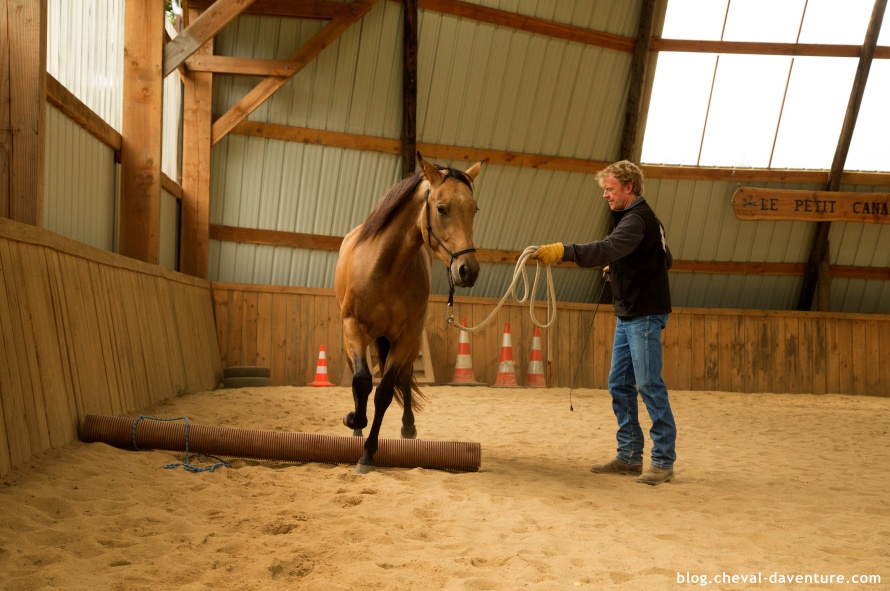 Dressage d'un de ses chevaux @Blog Cheval d'Aventure