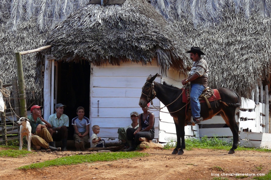 Cavalier à Cuba @Blog Cheval d'Aventure