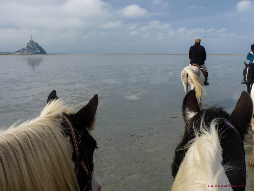 A cheval vers le Mont Saint Michel @Blog Cheval d'Aventure