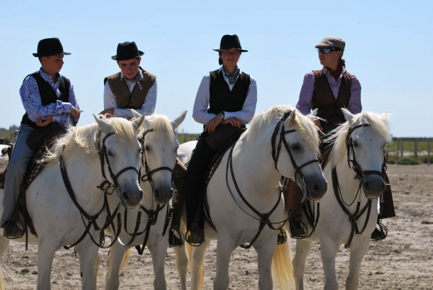 Les cavaliers d'équitation de travail western et ibérique durant l'édition 2017