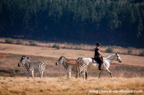 Randonnée à cheval en Eswatini