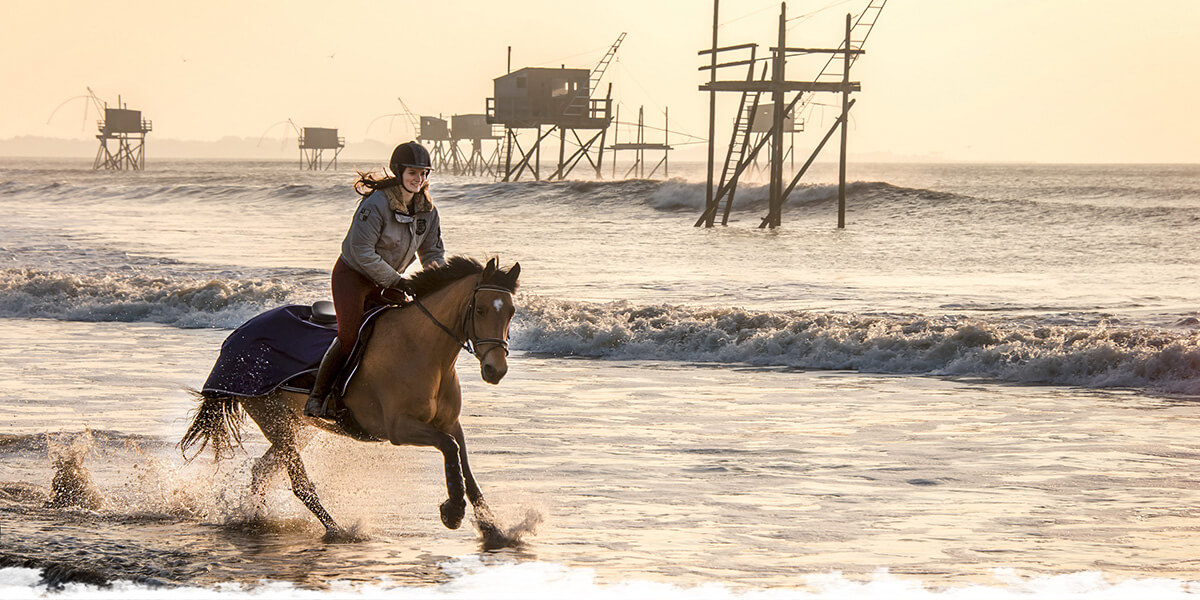 La Citation Equestre Du Mois Francoise Sagan Le Mag Des Cavaliers Voyageurs