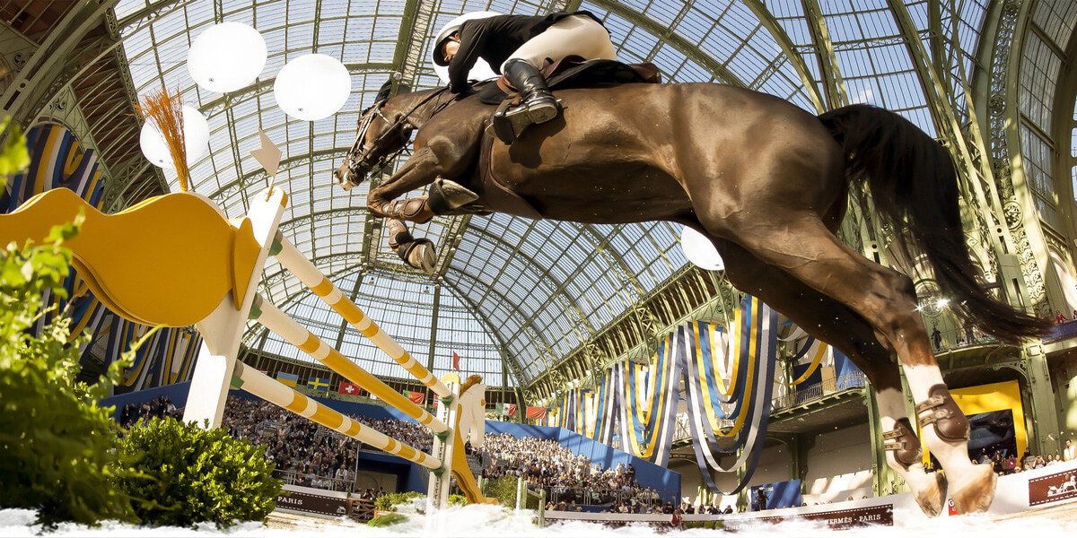 3 choses à savoir sur l'asthme équin - Rehactiv'Equine