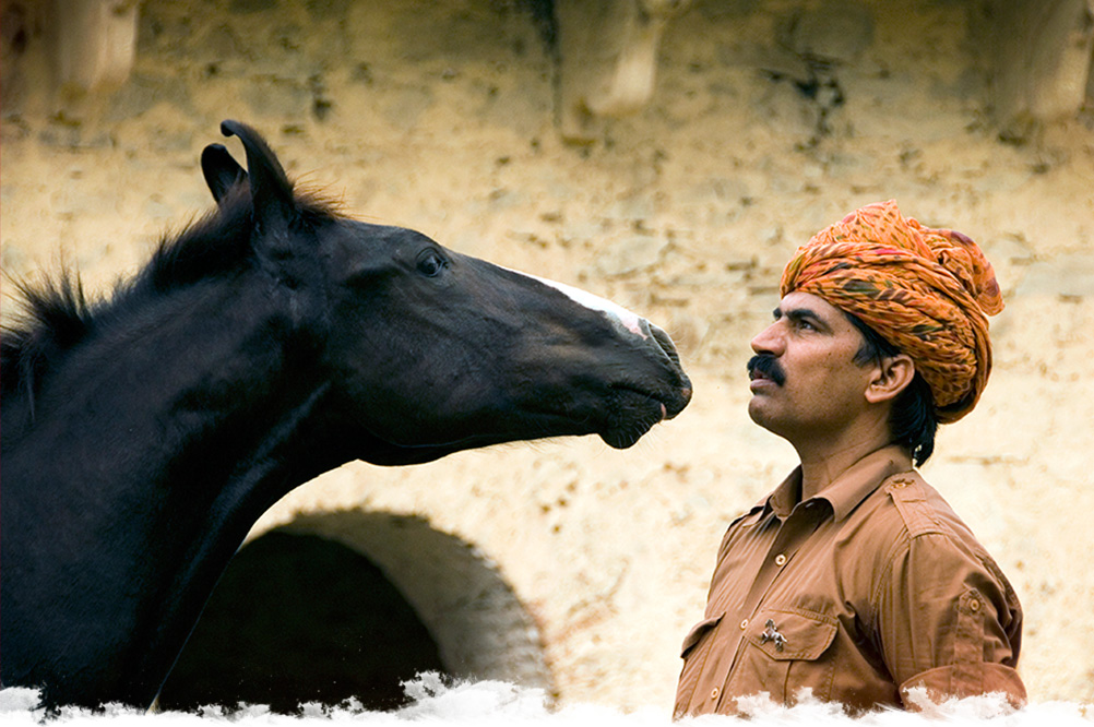 Randonnez à cheval au Rajasthan en Inde | Cheval d'Aventure