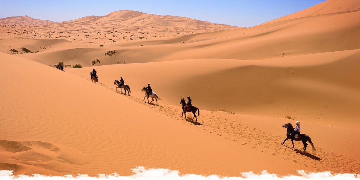 Les cavaliers d'Oman aux 160 km de Florac