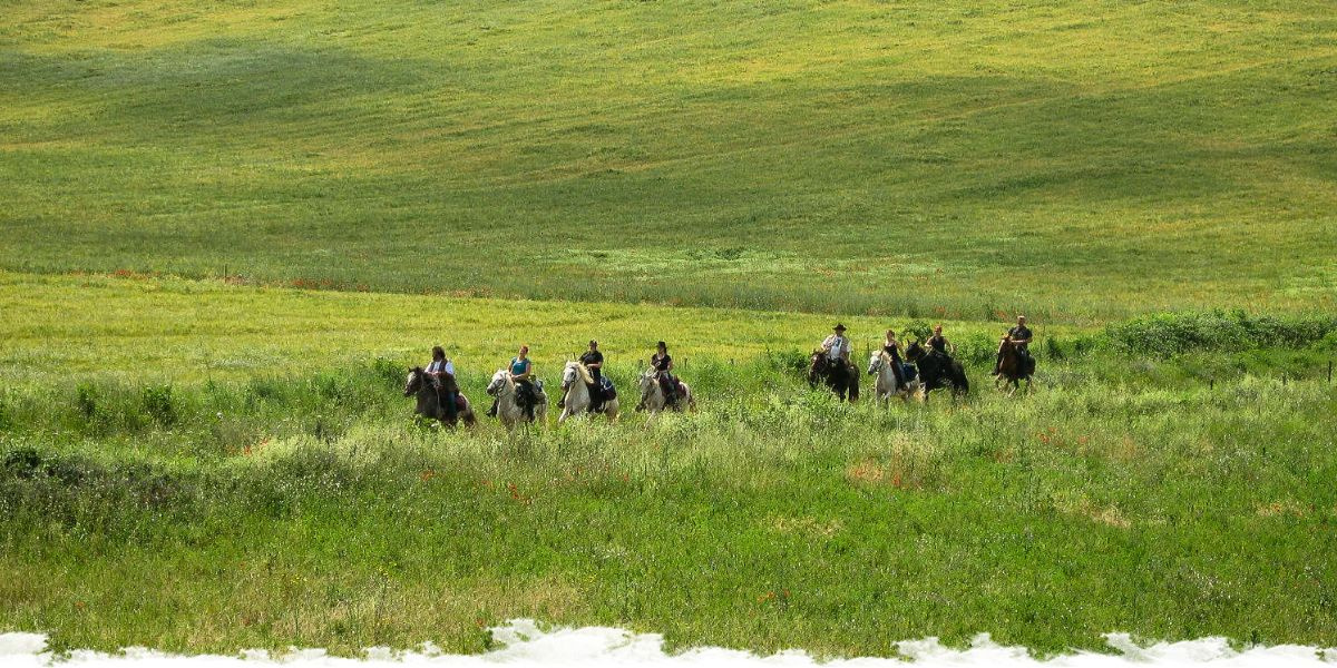 Cheval d’Aventure, 1ère agence de voyage équestre labellisée ATR