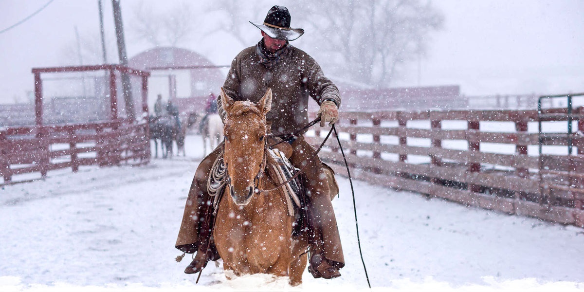 Comment bien s'équiper pour monter à cheval en hiver ?