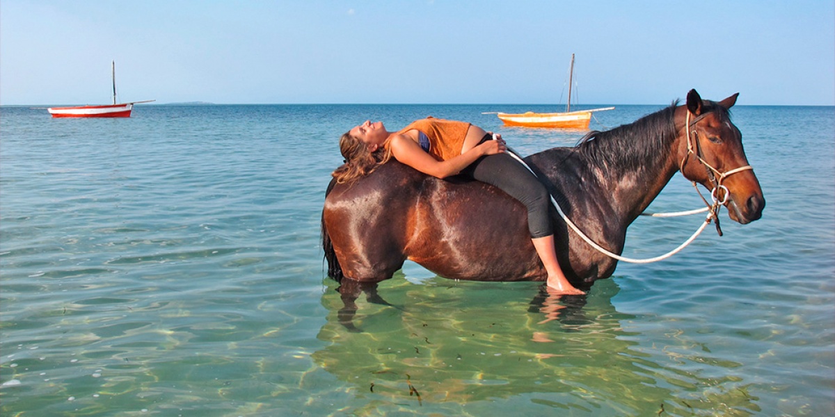 L'équithérapie - Les chevaux guérisseurs