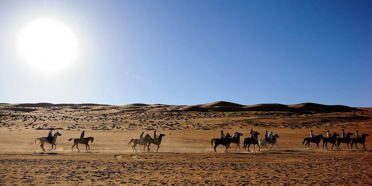 Gallops of Morocco : une généreuse aventure équestre et humaine