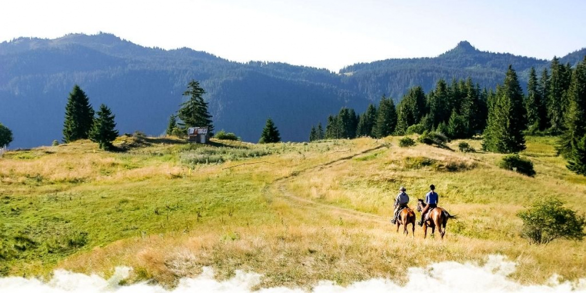 Randonnée à cheval : les 10 équipements indispensables