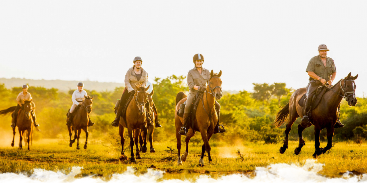 Safari à cheval ou randonnée équestre : comment choisir ?