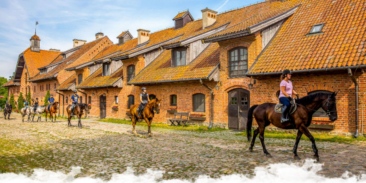Voyage à cheval débutant : comment bien choisir son séjour ?
