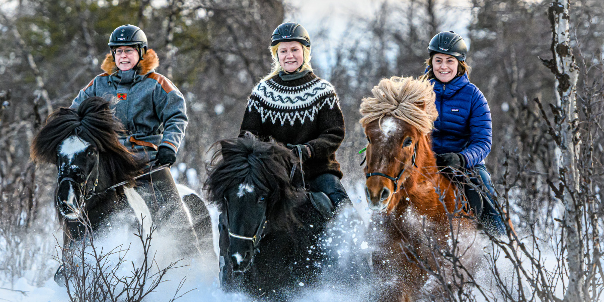Voyage en Laponie Suédoise