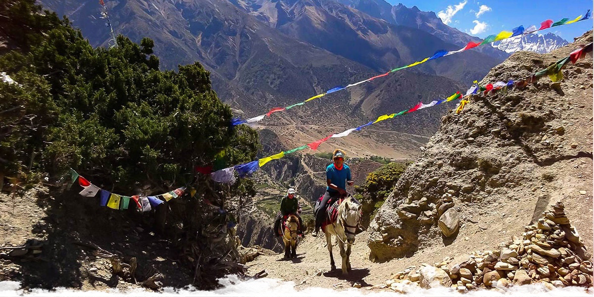 Népal : à cheval au pied de l'Everest