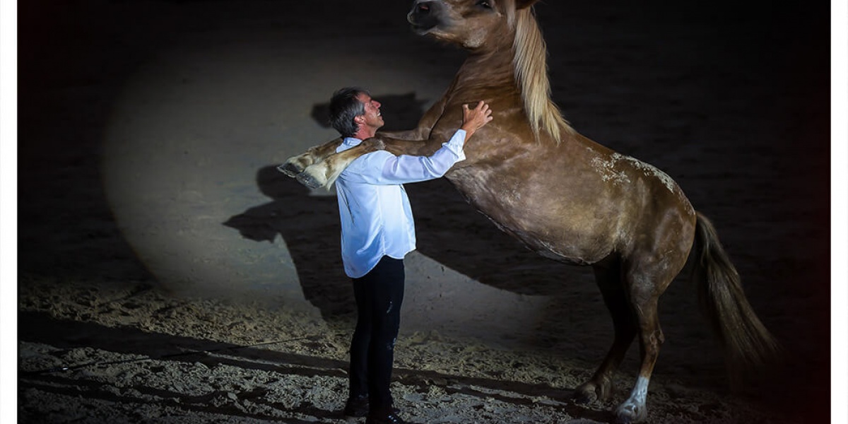 Frédéric et Jean-François Pignon libèrent la nature des chevaux