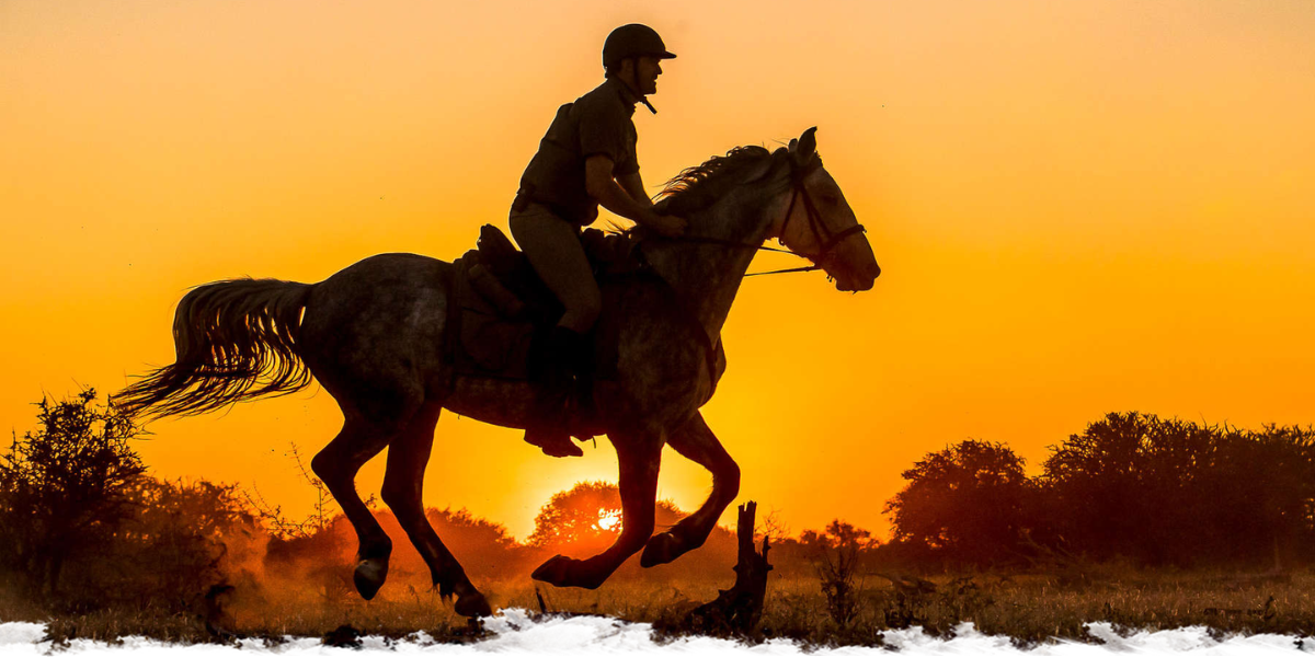 Quand partir en safari à cheval ?