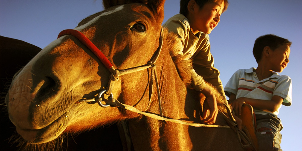 Nelson, jeune cavalier en Mongolie