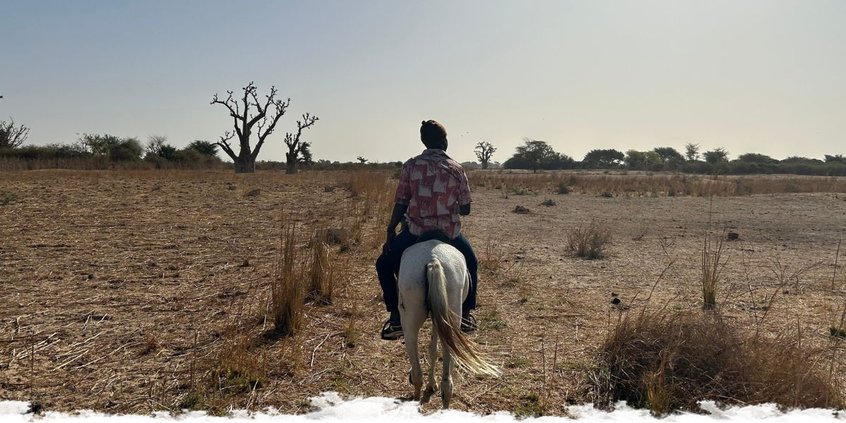 À cheval au Sénégal, dans le delta du Sine Saloum