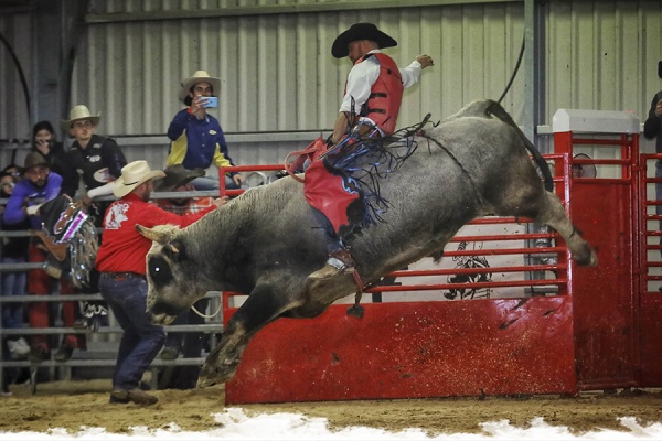 Du "bull riding" à Cheval Passion