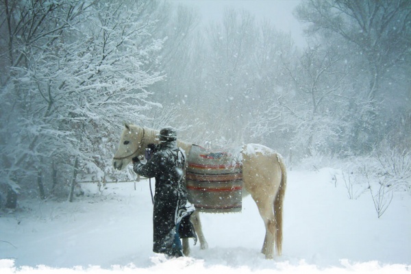 Bien s’occuper de son vieux cheval en hiver