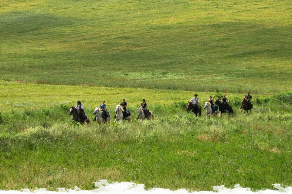 Cheval d’Aventure, 1ère agence de voyage équestre labellisée ATR