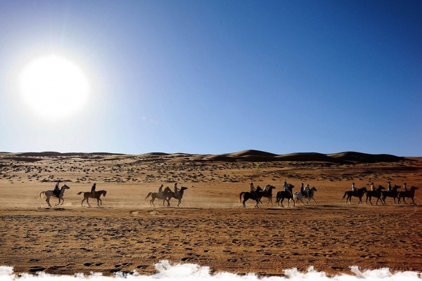 Gallops of Morocco : une généreuse aventure équestre et humaine