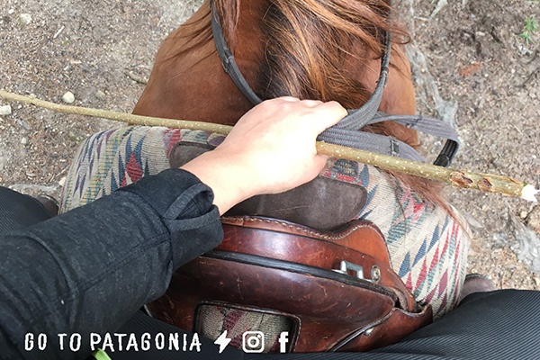 Go to Patagonia à cheval