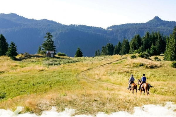 Randonnée à cheval : les 10 équipements indispensables