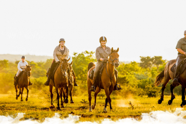 Safari à cheval ou randonnée équestre : comment choisir ?