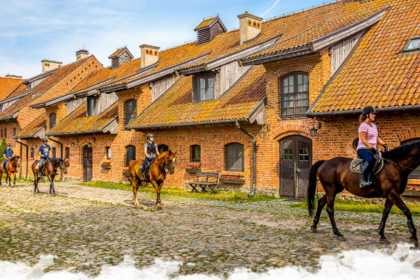 Voyage à cheval débutant : comment bien choisir son séjour ?