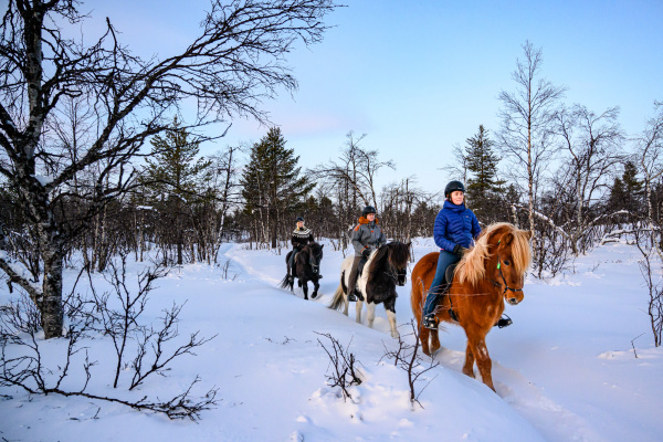 Voyage en Laponie Suédoise