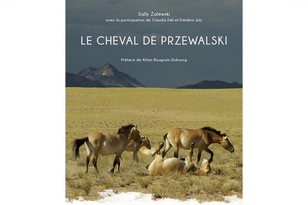 J'ai lu... Le cheval de Przewalski