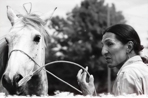 Le cheval, être sacré pour les Indiens Navajo