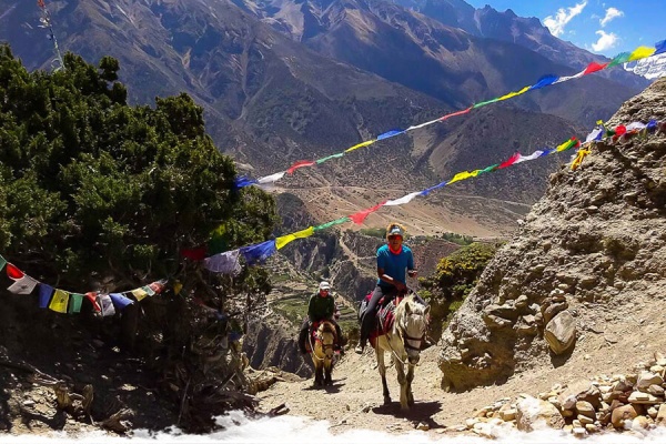 Népal : à cheval au pied de l'Everest