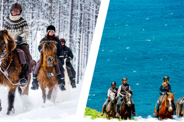 Où partir à cheval en hiver ?