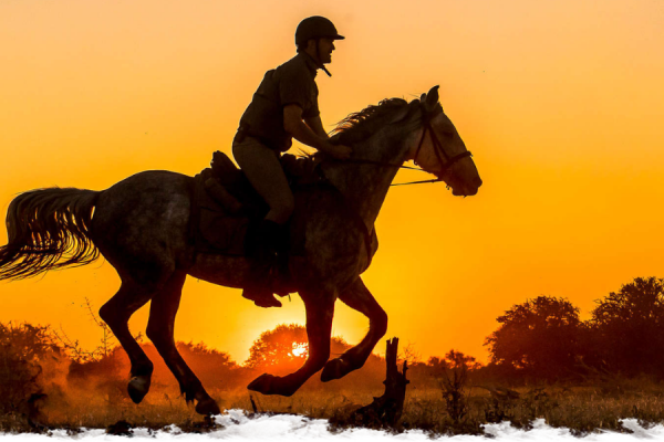 Quand partir en safari à cheval ?