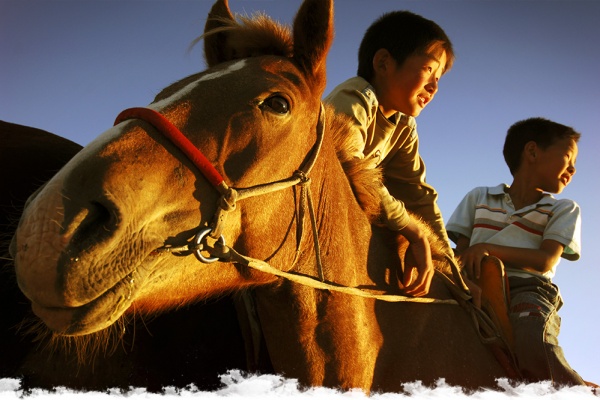 Nelson, jeune cavalier en Mongolie