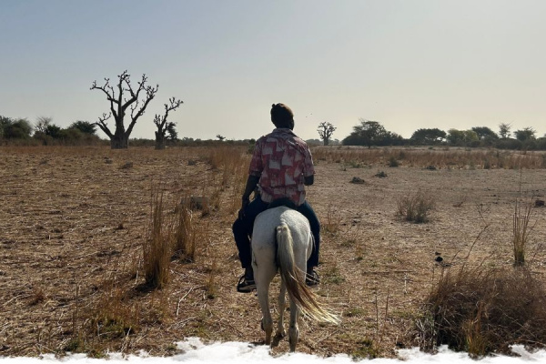 À cheval au Sénégal, dans le delta du Sine Saloum