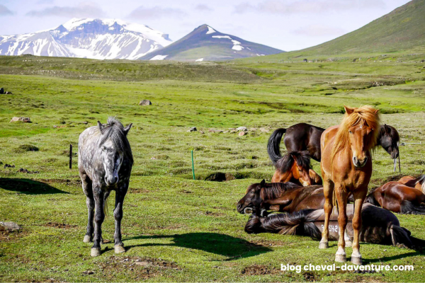 Les plus belles randonnées à cheval en Europe : notre sélection