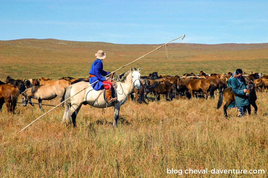 assurance voyage à cheval mongolie