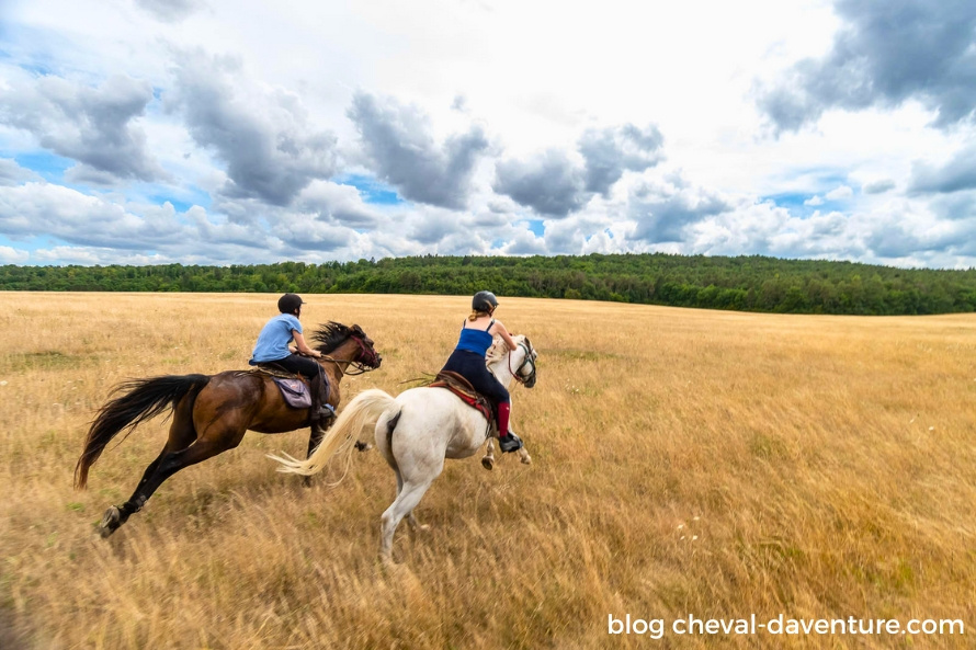 assurance voyage à cheval france