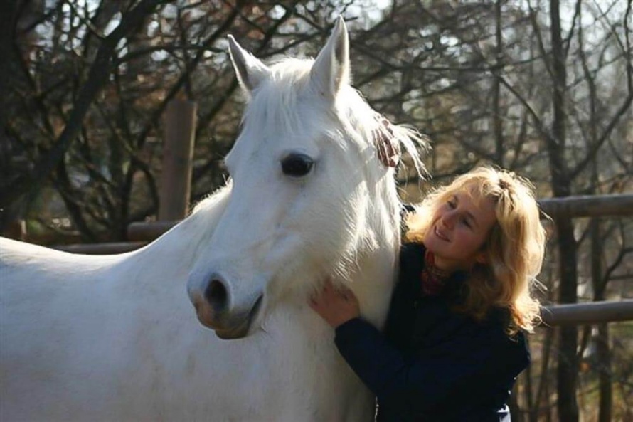 Première mesure : un bonne relation entre le cheval et l'humain @Crédit photo Alice Rolland